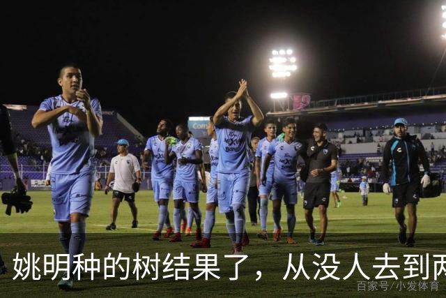 姚明种的树结果了，从没人去到两位数留洋，年轻人治好男篮老毛病